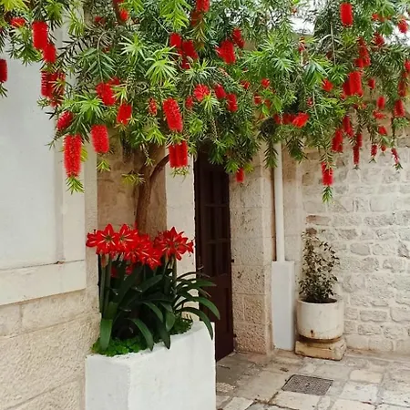 B&B 팰리스 데로시